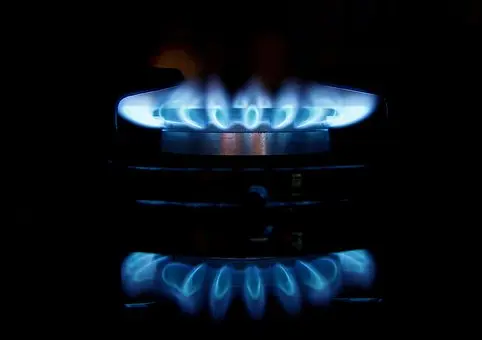 Thermador-Appliance-Repair--in-Chester-New-Jersey-thermador-appliance-repair-chester-new-jersey.jpg-image