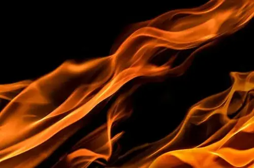 Traeger-Appliance-Repair--in-Cedar-Knolls-New-Jersey-traeger-appliance-repair-cedar-knolls-new-jersey.jpg-image